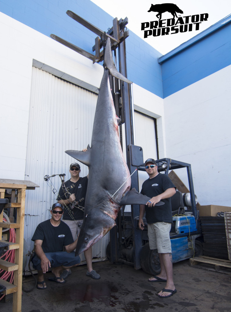 World Record Mako Shark