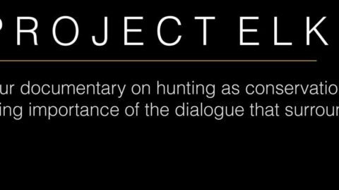 Project_Elk_top