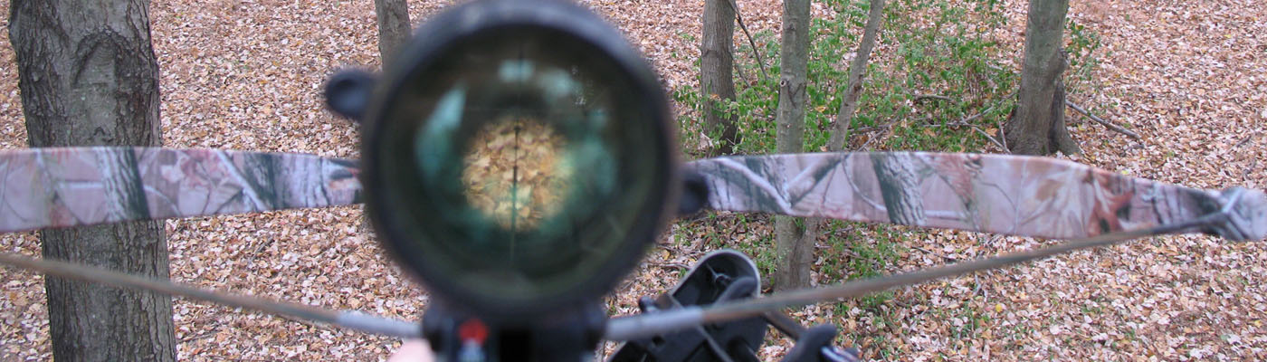 New York Introduces Bill to Expand Crossbow Hunting - Sportsmen's Alliance