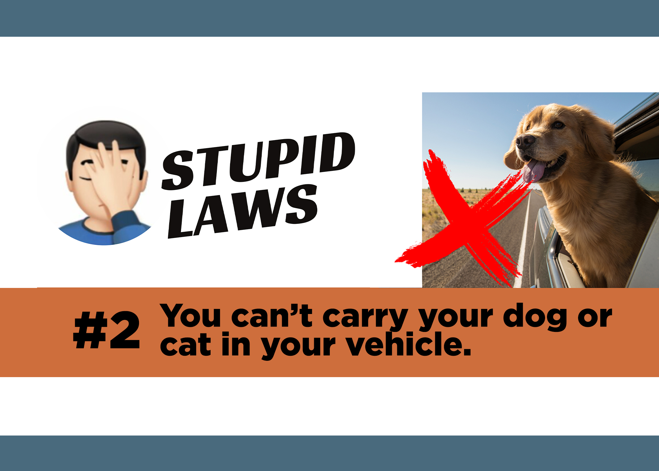 Louisiana “Animal Control Ordinance” Bans Riding in Cars with Dogs