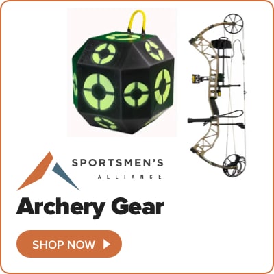 x Archery Gear