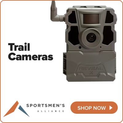 x Trail cameras