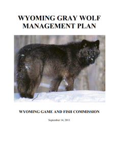 wyoming wolf plan