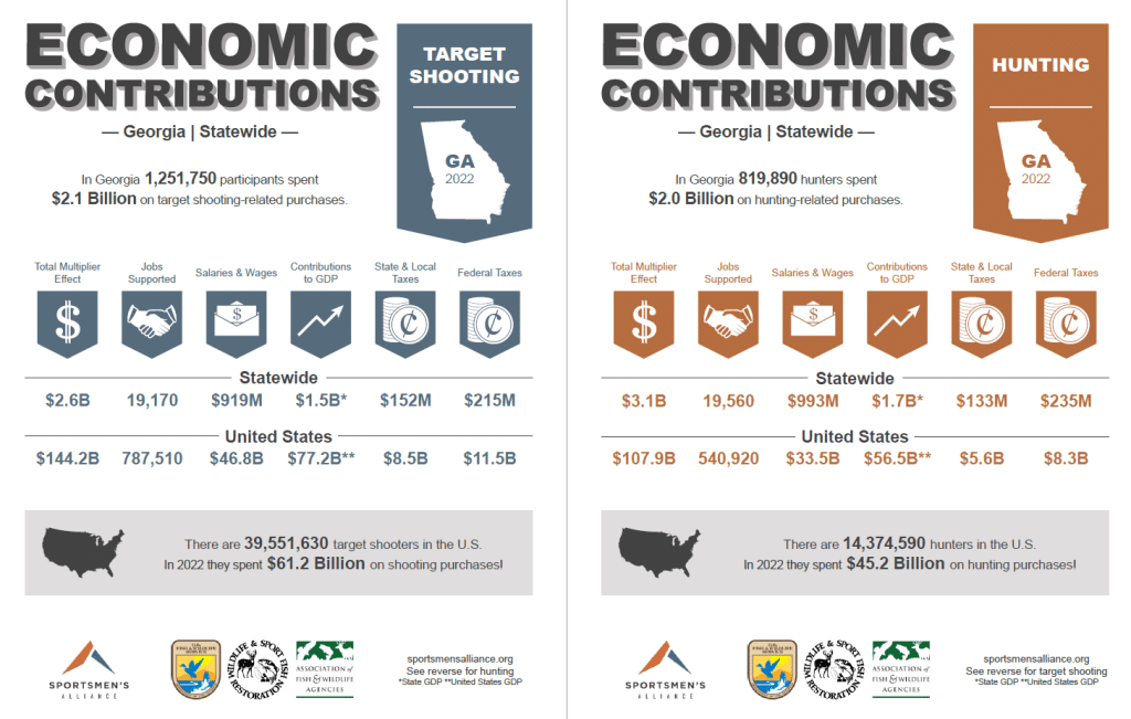 Georgia economic impact