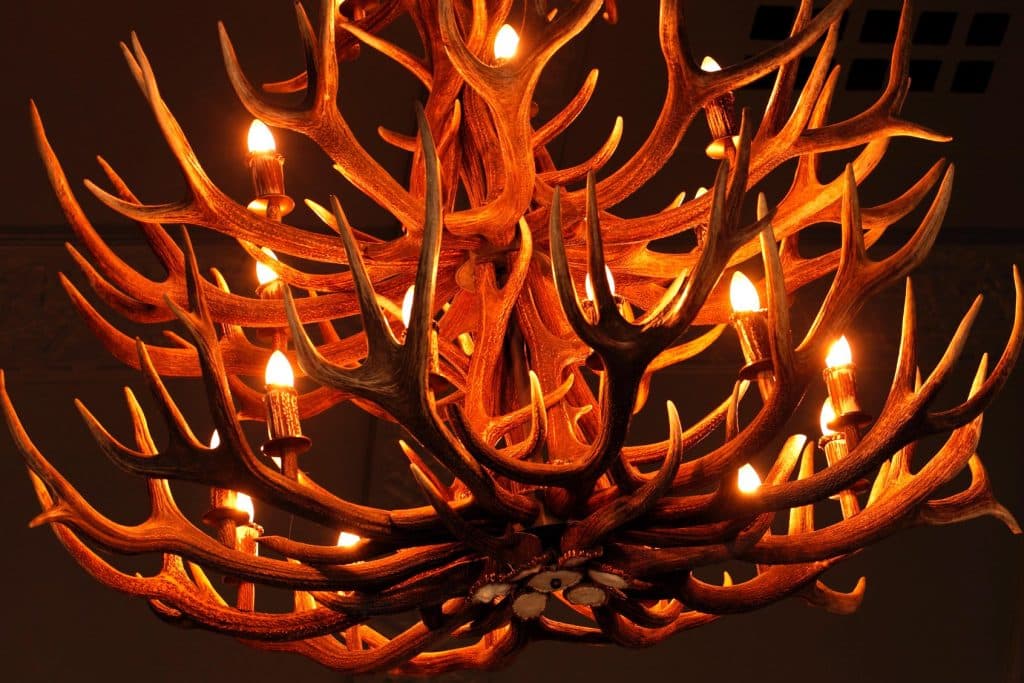 deer antler chandelier