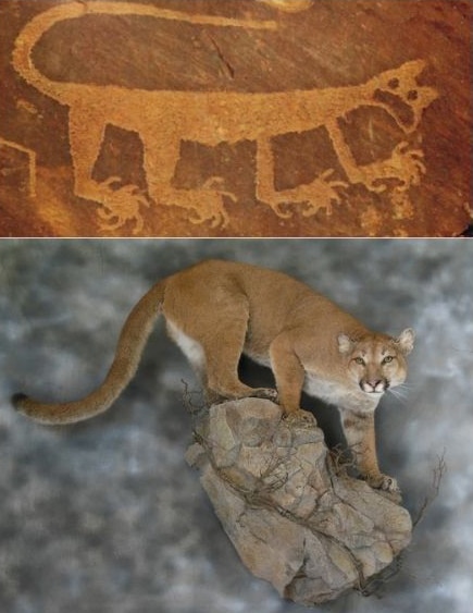 mountain lions now and then