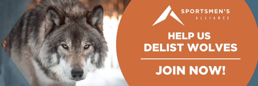 wolf Delist Join closeup