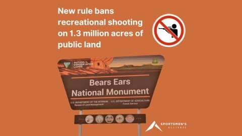 Bears Ear Ban