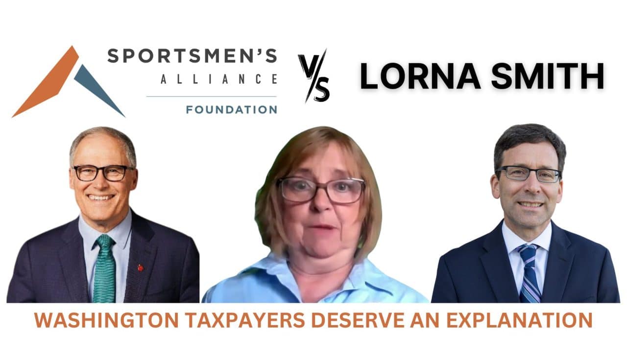 LS final analysis hed white