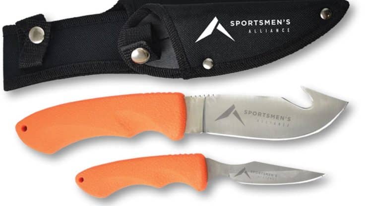 double knife set displayed