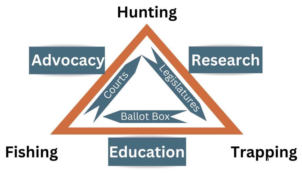 SA Advocacy Triad