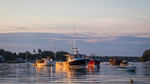 Lobster boats in the quiet and still harbor at dawn in Friendship Maine