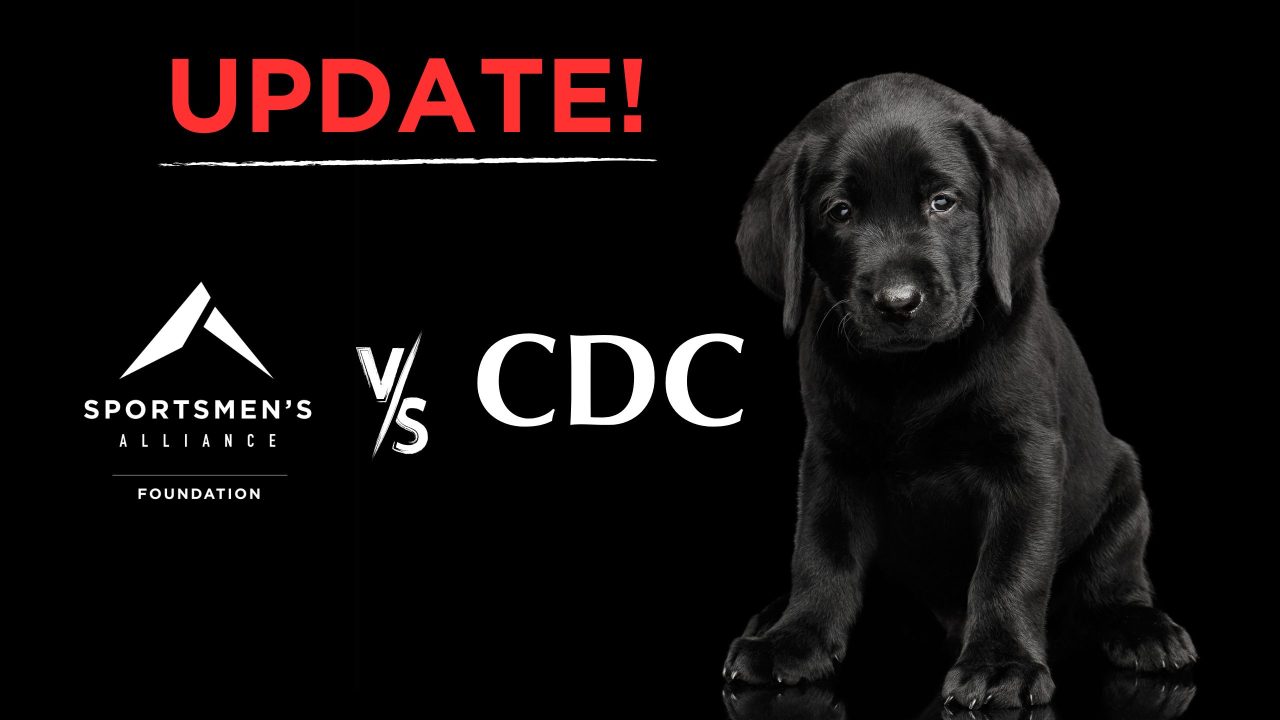 black Labrador retriever puppy SAF v CDC update PI denial