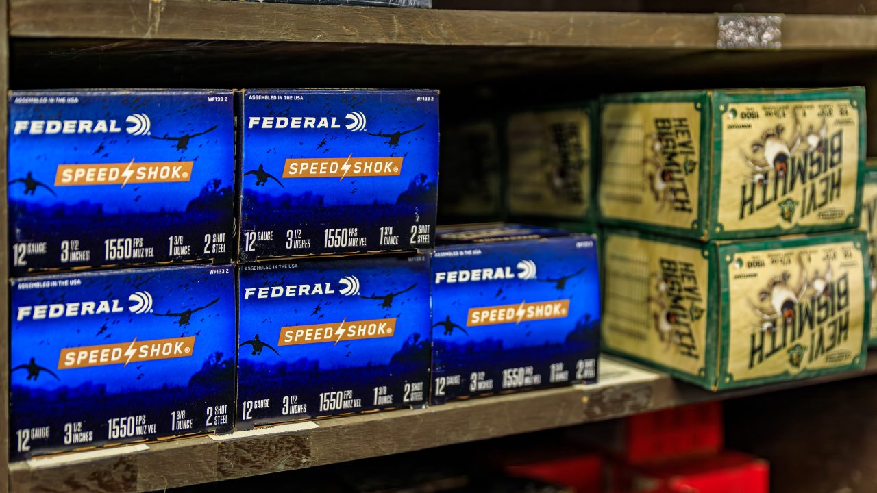 shotgun shells and ammo on shelves
