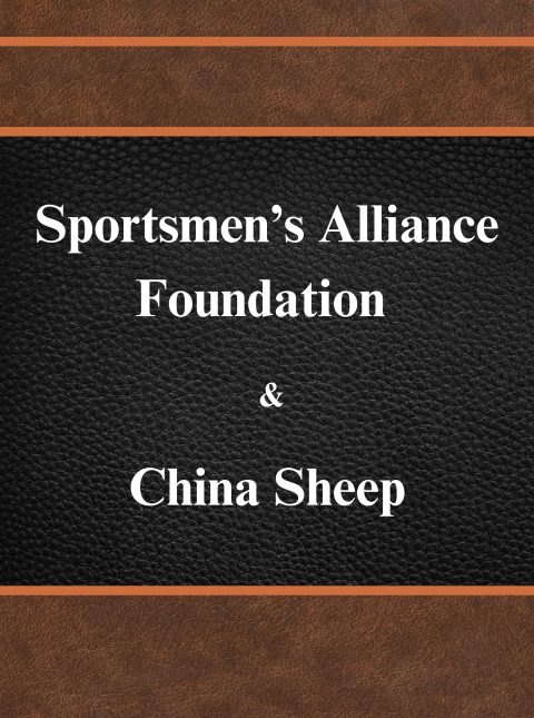 lit archive china sheep