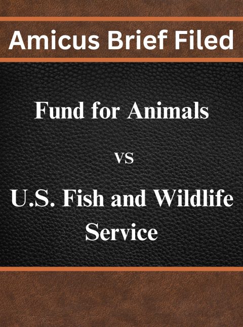 lit archive fund fws ab