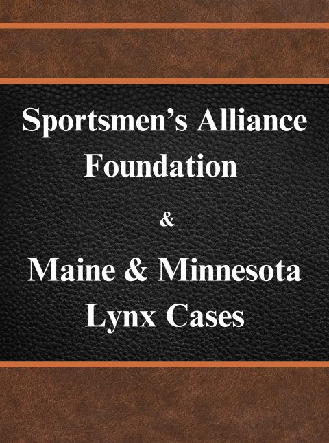 lit archive me mn lynx