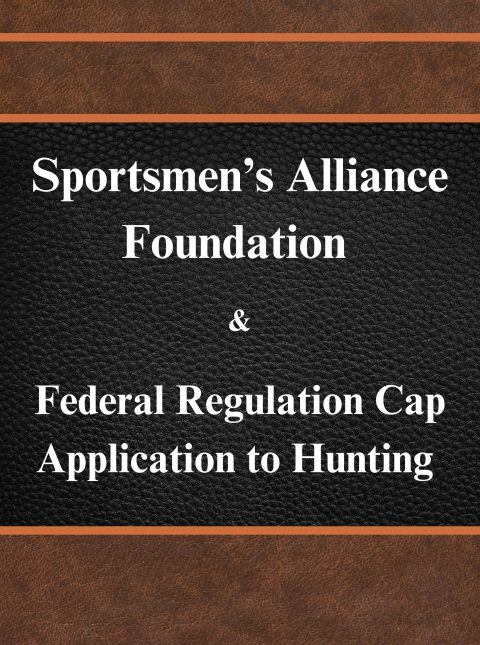 lit archive regulation cap