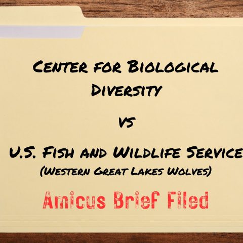 active litigation cdc vs fws Amicus brief