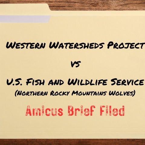 active litigation western watersheds project vs fws amicus brief
