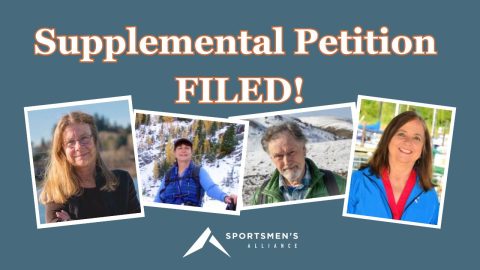 Supplemental Petition