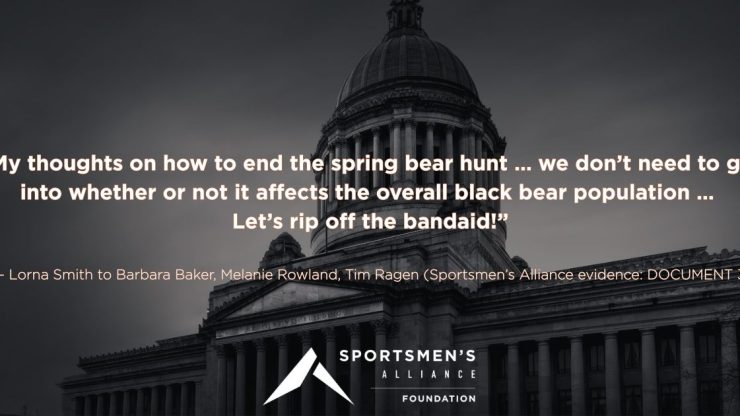 spring bear band aid Lorna