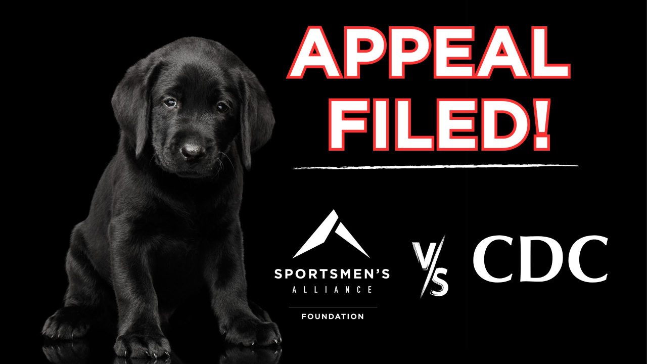 A black Labrador retriever puppy next to the words "appeal filed" in the Sportsmen's Alliance vs CDC lawsuit over puppy imports.