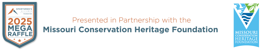 PARTNER BANNERS MCHF PARTNER BANNERS MCHF