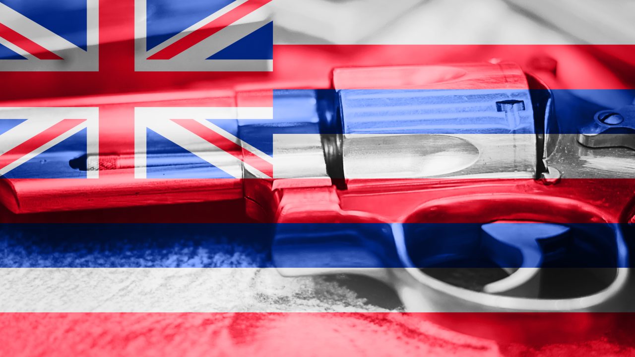 Hawaii flag gun control handgun