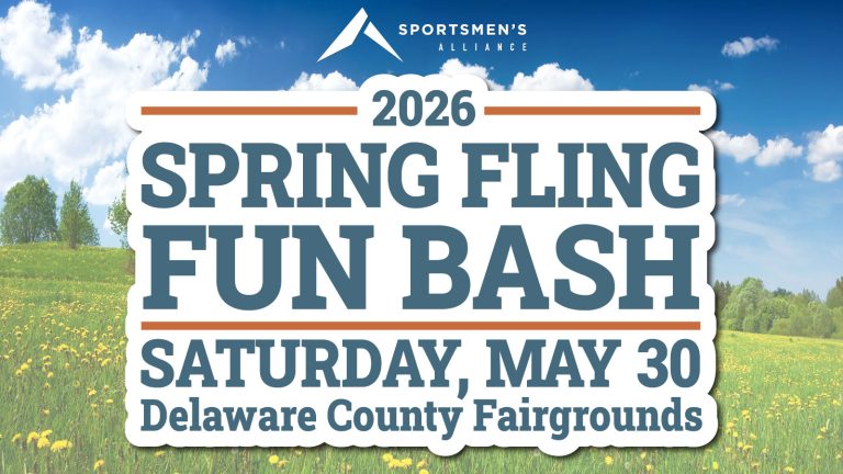 Spring Fling BLANK BANNER x v