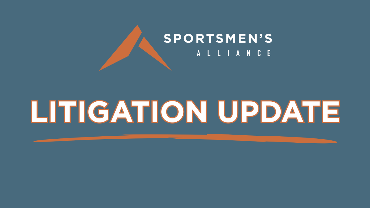 litigation update header