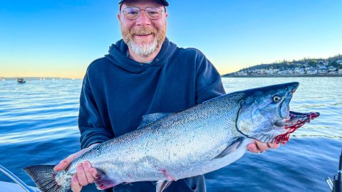 fishing salmon chinook king angler