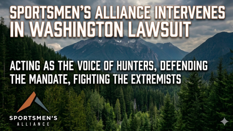 washington intervention hed