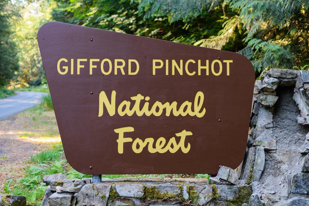 gifford pinchot national forest sign