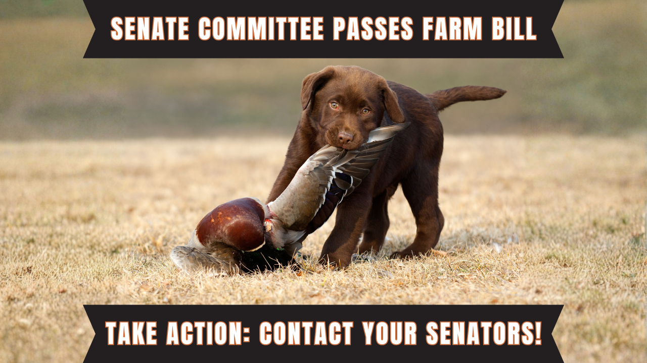 Senate Ag Committee passes a clean Farm Bill without anti-hunting language