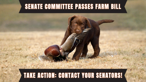 Senate Ag Committee passes a clean Farm Bill without anti-hunting language