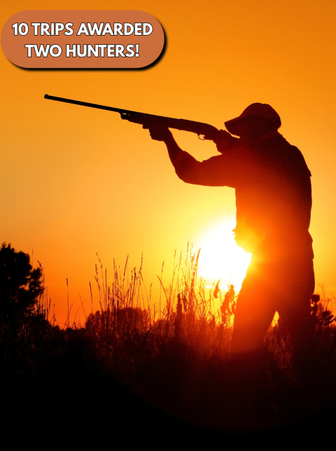 Mega Raffle Prize: High-volume dove hunt in Argentina for two hunters!